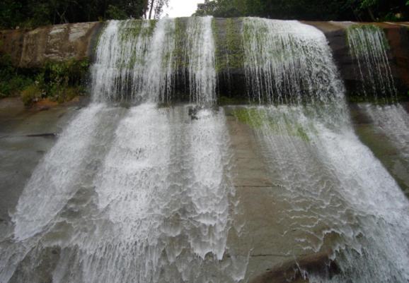 Отель Alojamiento Campestre. San Carlos, Antioquia. Экстерьер фото